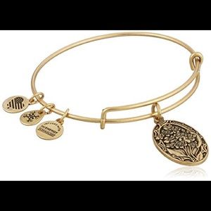 alex and ani grandma bracelet
